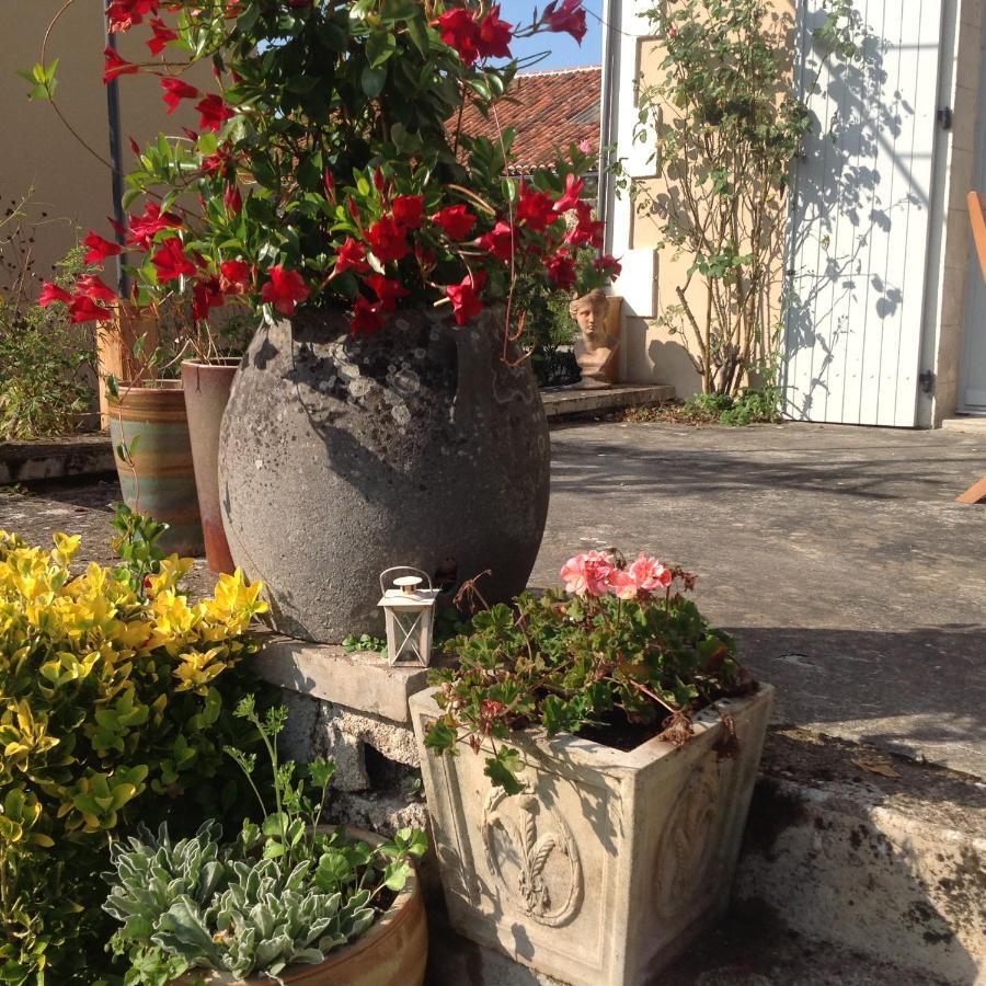 La Grange Terrou Guest House Saint-Germain-de-Confolens ภายนอก รูปภาพ